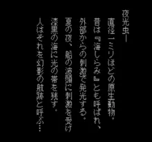 Image n° 1 - screenshots  : Yakouchuu